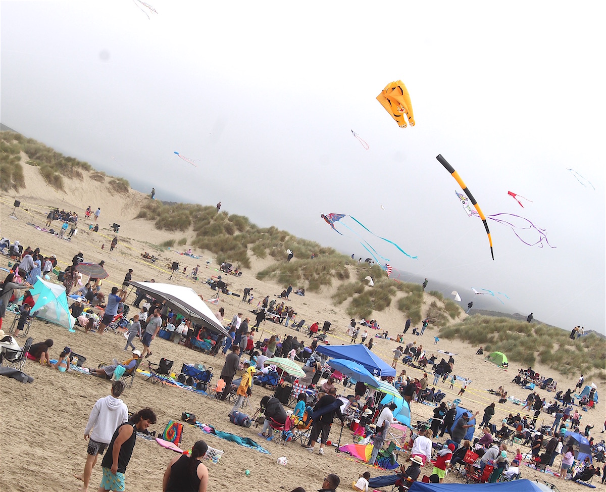 Kite Festival a colorful celebration of wind, sea, and the beach
