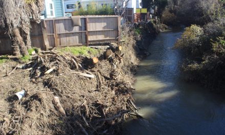 City to Study Morro Creek Flooding Issues