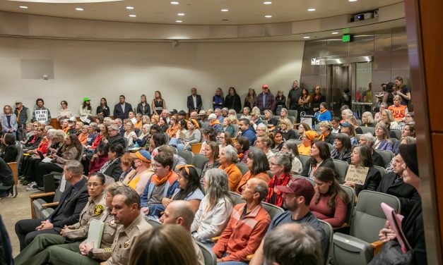 D.A. calls for civility with ICE protests