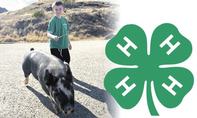 4-H Club kids ready for the fair