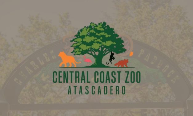 Friends of the Zoo to host screening of ‘Condor Canyon’