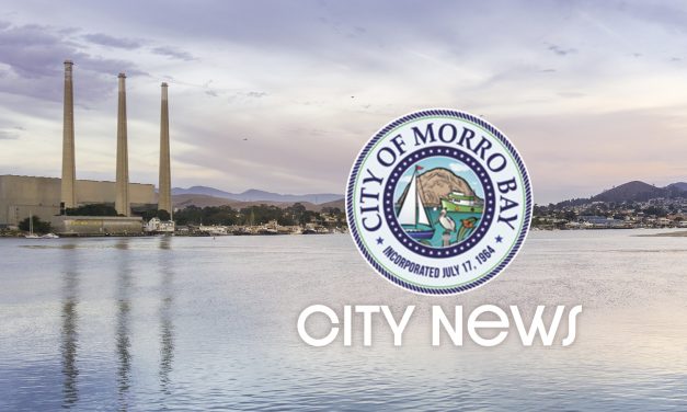 City hires new city manager; police commander promoted