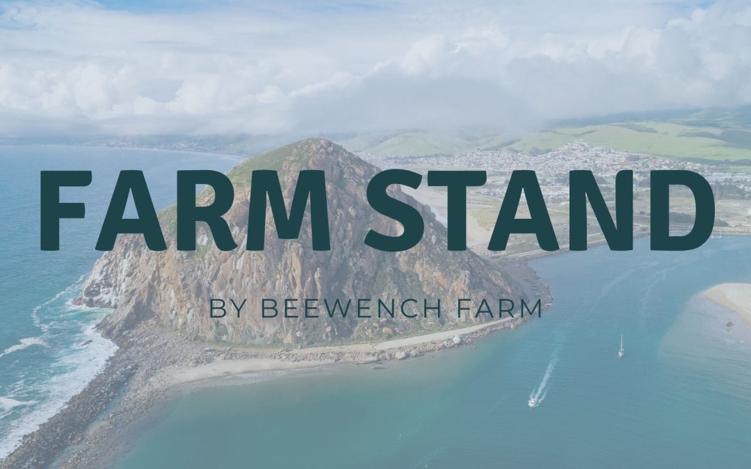 From Farm to Table in October