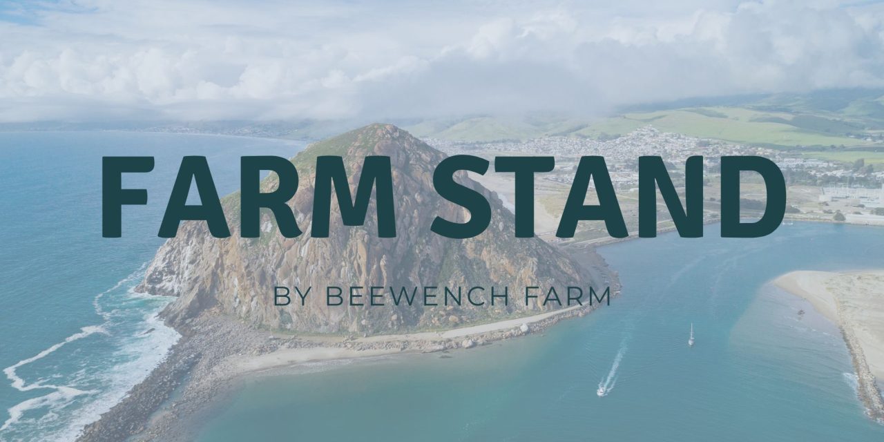 From Farm to Table in October