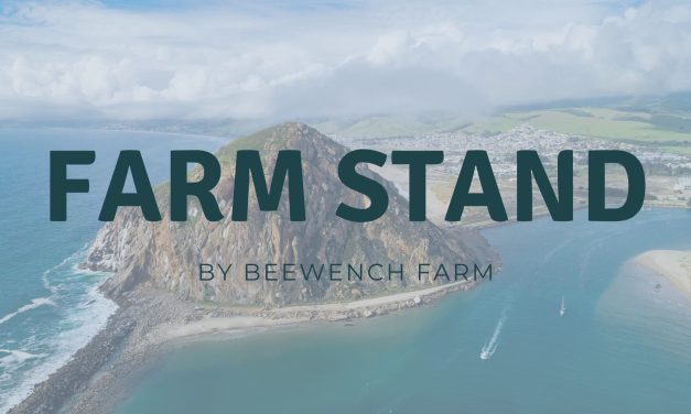 From Farm to Table in October