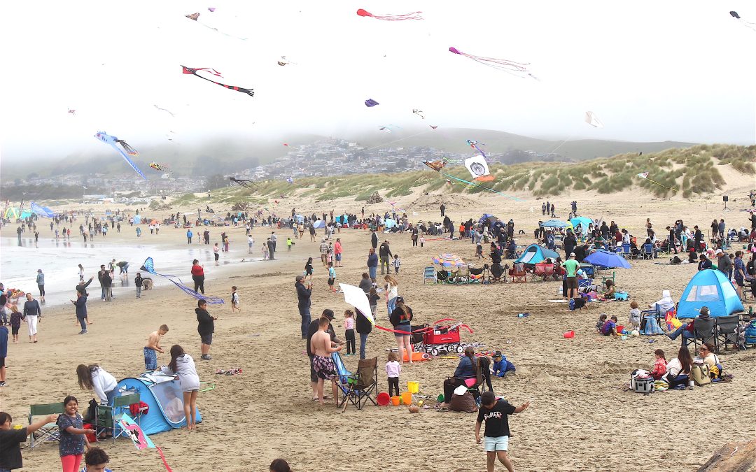 Kite Festival a colorful celebration of wind, sea, and the beach