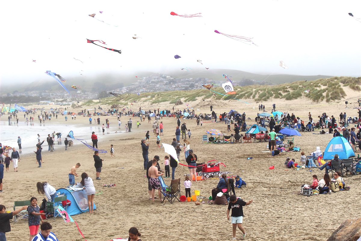 Kite Festival a colorful celebration of wind, sea, and the beach