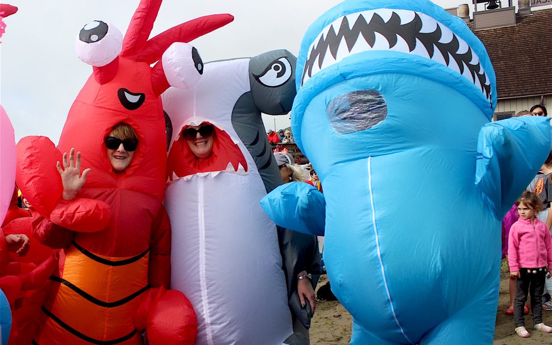 Thousands brave the 2026 Polar Bear Dip