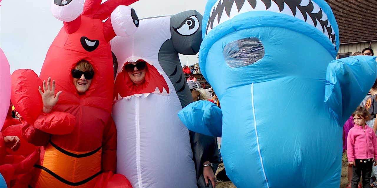 Thousands brave the 2026 Polar Bear Dip