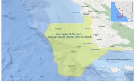 Environmental review ends for marine sanctuary 