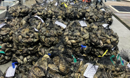 City OKs oyster farm liquor license
