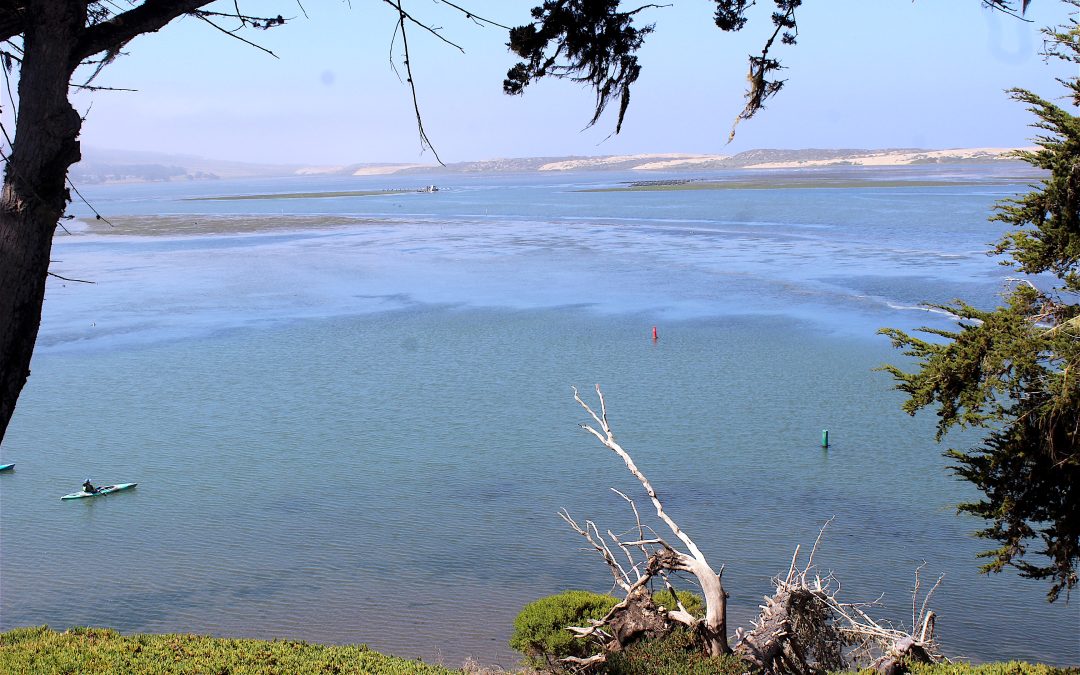 Celebrating 30 years of protecting Morro Bay Estuary