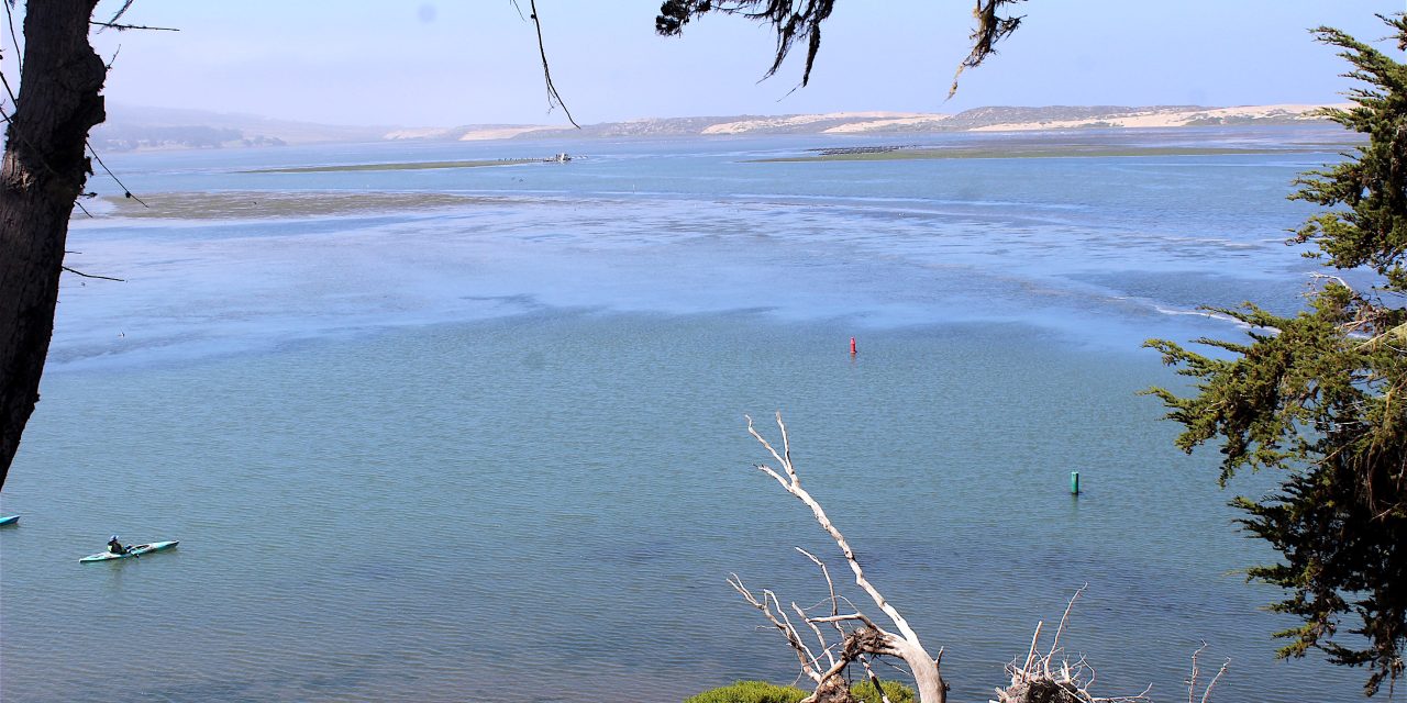 Celebrating 30 years of protecting Morro Bay Estuary
