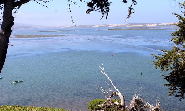Celebrating 30 years of protecting Morro Bay Estuary