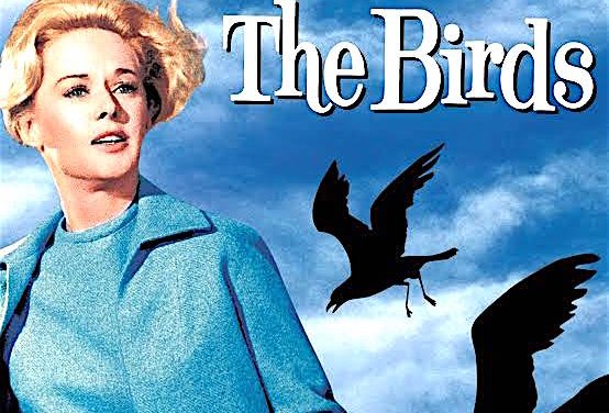 Bay Theater goes to the birds for Halloween