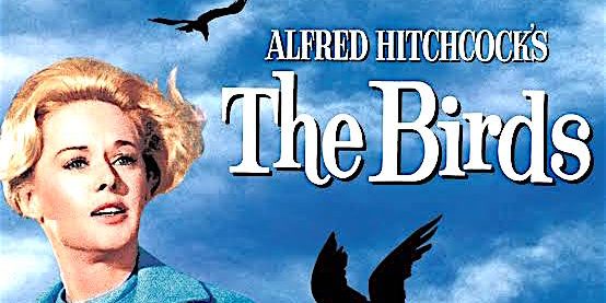 Bay Theater goes to the birds for Halloween