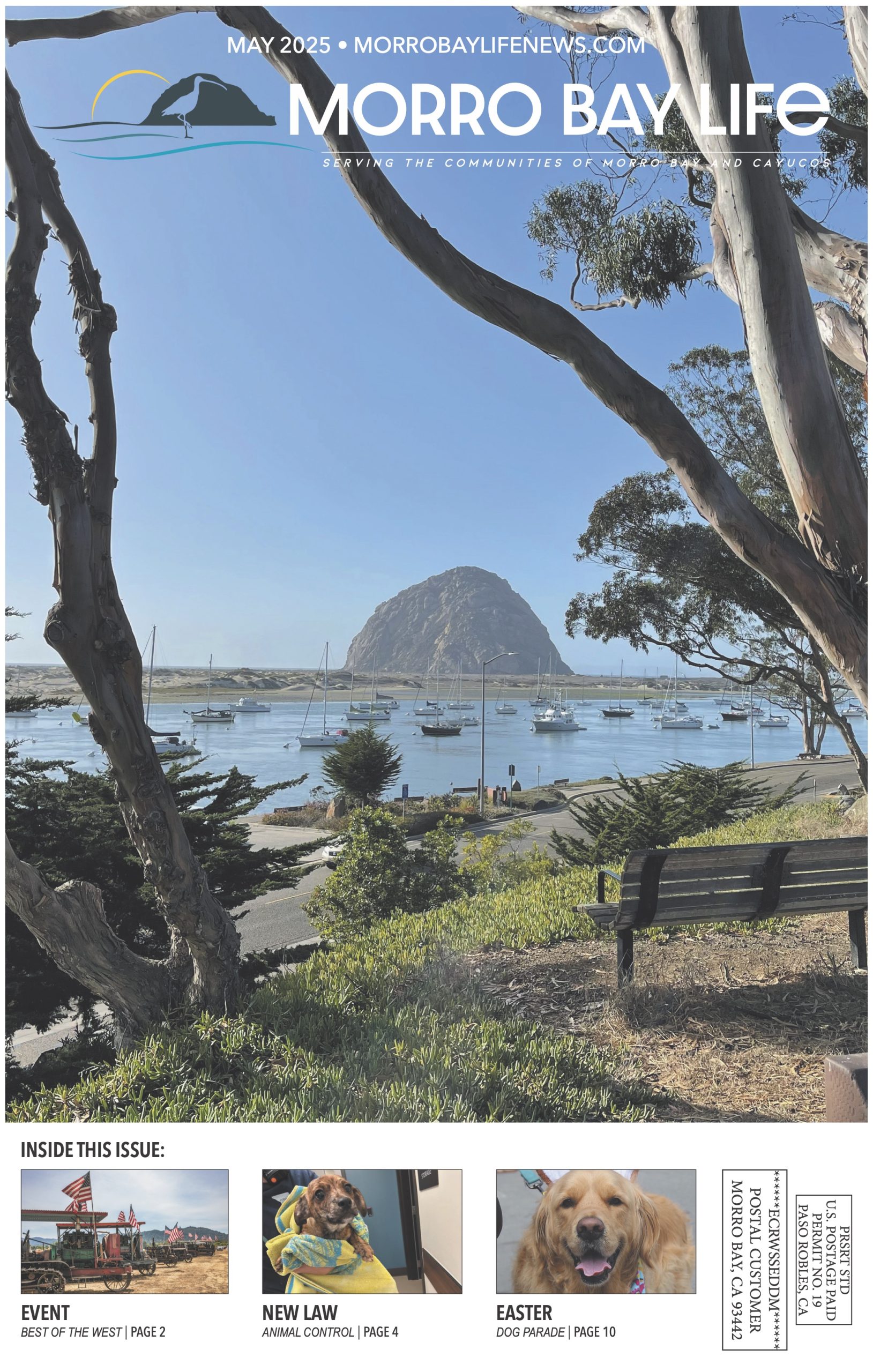Morro Bay Events Calendar Morro Bay Life