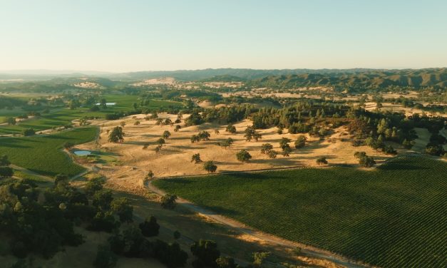 The Preserve at Santa Margarita Ranch launches first heritage homesites