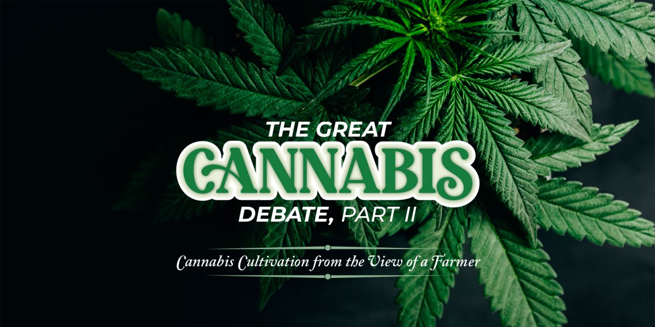 The Great Cannabis Debate, Part 2