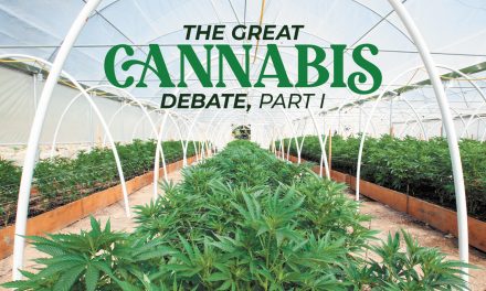 The Great Cannabis Debate: Part 1
