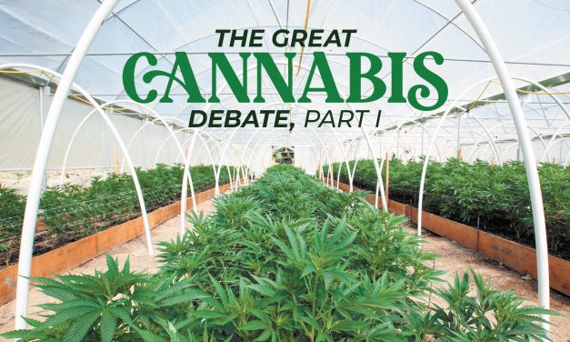 The Great Cannabis Debate: Part 1