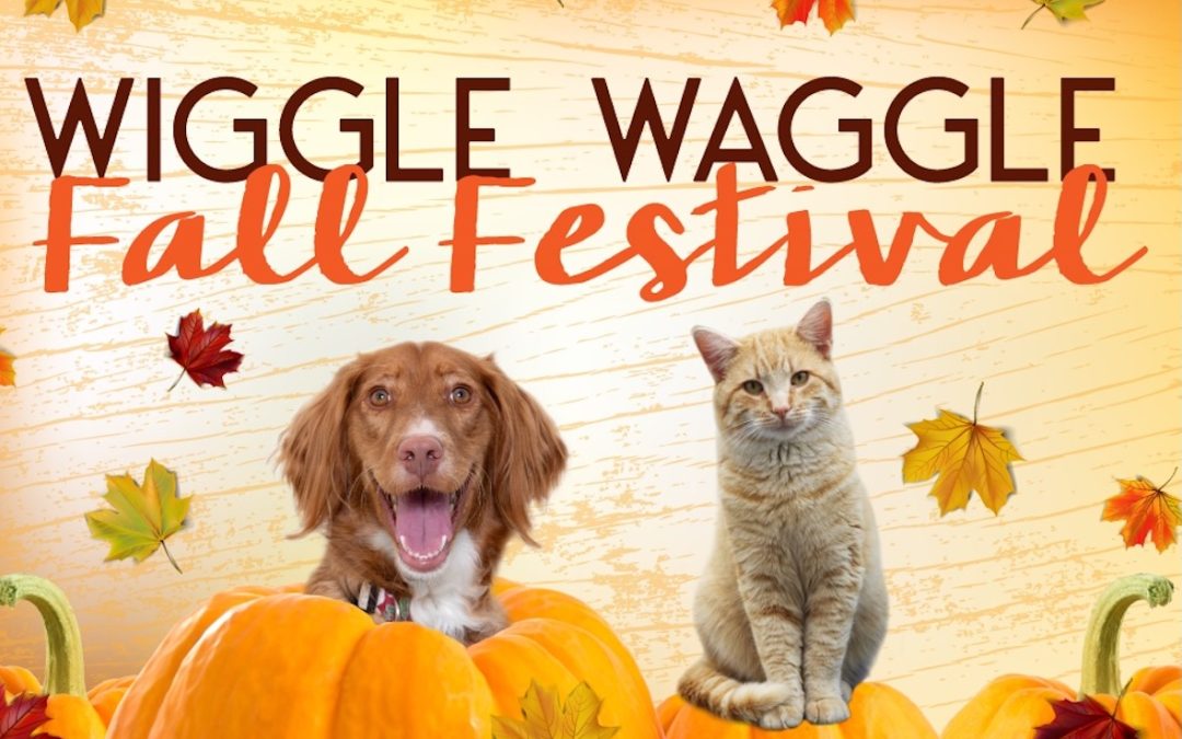 Woods Humane Society hosts Central Coast’s biggest dog party