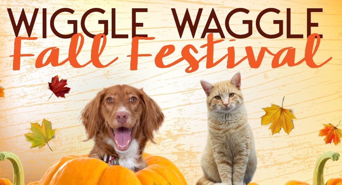 Woods Humane Society hosts Central Coast’s biggest dog party